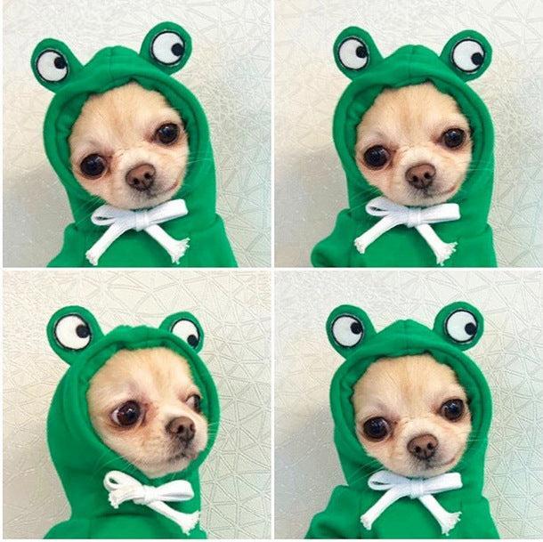 Sudadera Frutal para Perros Pequeños en Invierno – Estilo, Calidez y Comodidad para los Días Fríos 🍊🐶 - EliteMascotas