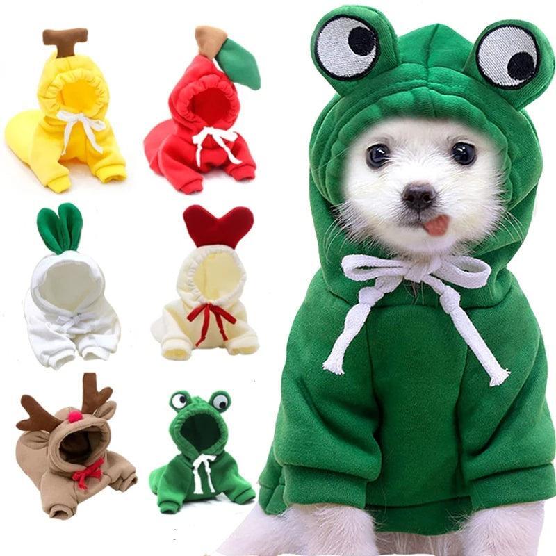 Sudadera Frutal para Perros Pequeños en Invierno – Estilo, Calidez y Comodidad para los Días Fríos 🍊🐶 - EliteMascotas
