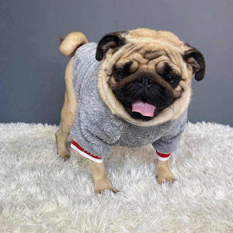 Suéter de Algodón para Perros en Invierno: Calidez y Comodidad para los Días Fríos ❄️🐾 - EliteMascotas