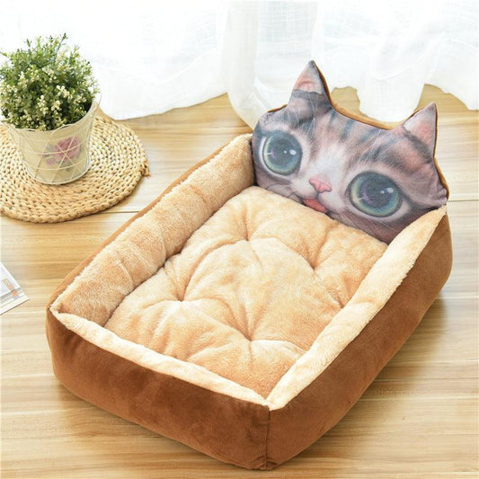 Comfortable cat bed - how to choose the best sleep for your pet