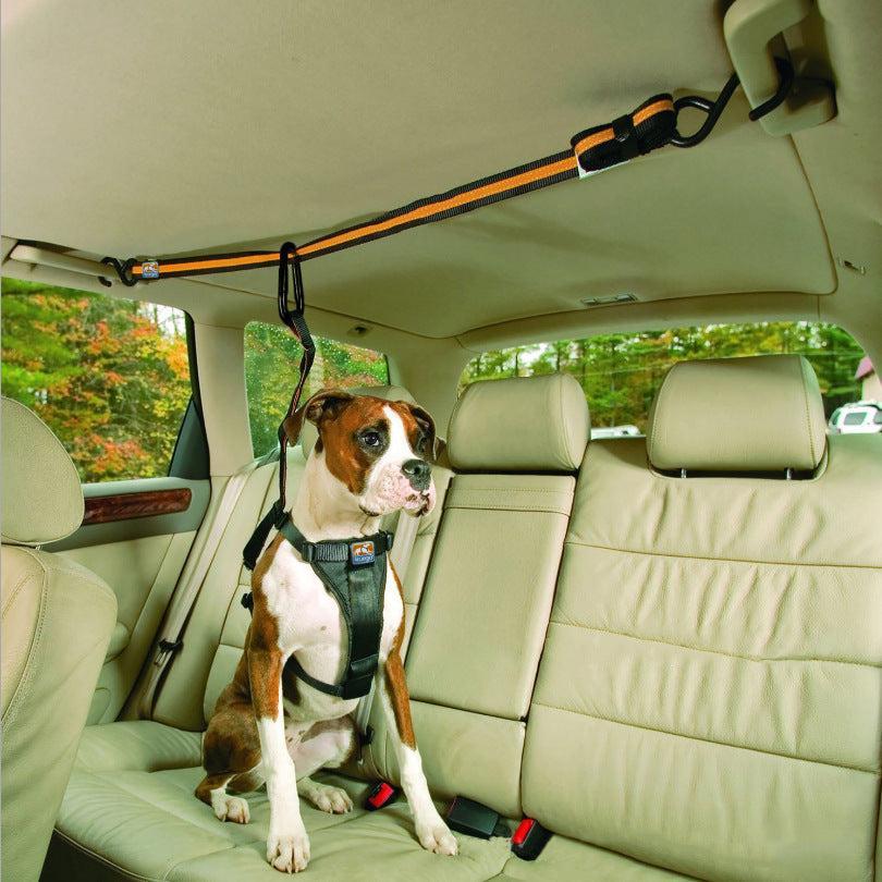 🛋️ Cómo Viajar con tu Mascota de Forma Segura - EliteMascotas