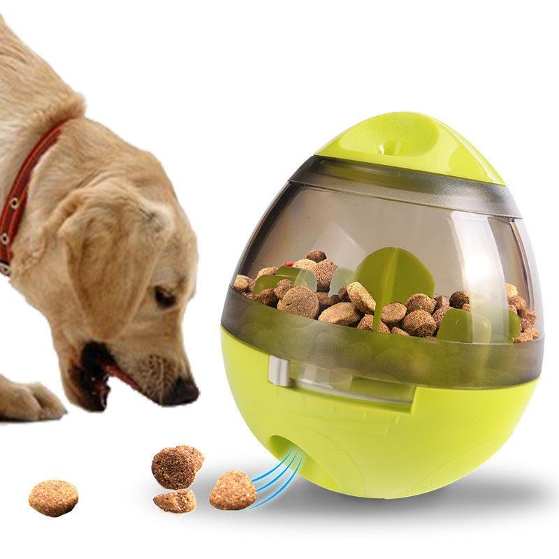 🐶 Snacks y premios saludables para perros: cómo elegir lo mejor para tu mascota - EliteMascotas