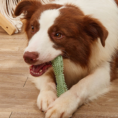 Juguete Masticable para Limpieza Dental Canina – Diversión que cuida su sonrisa 🦷🐶💚