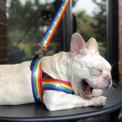 Correa Arcoíris para Perros con Correa Pecho – Estilo y Seguridad en Cada Paseo 🌈🐶