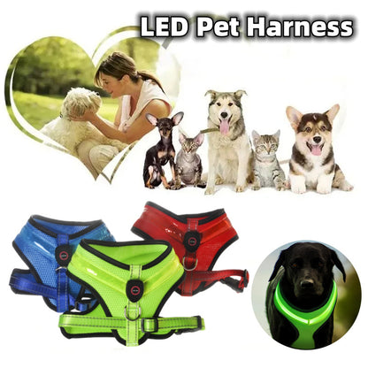 Arnés LED para Perros, Carga USB Segura – Visibilidad y Seguridad en Cada Paseo Nocturno 🐾🌟