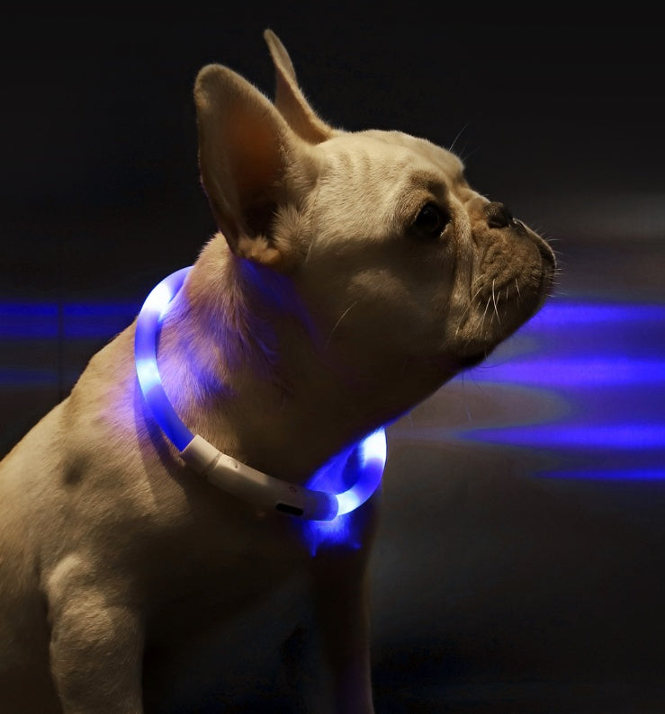 Collar Inteligente LED Antipérdida para Mascotas – Seguridad y Visibilidad durante la Noche 🌟🐾