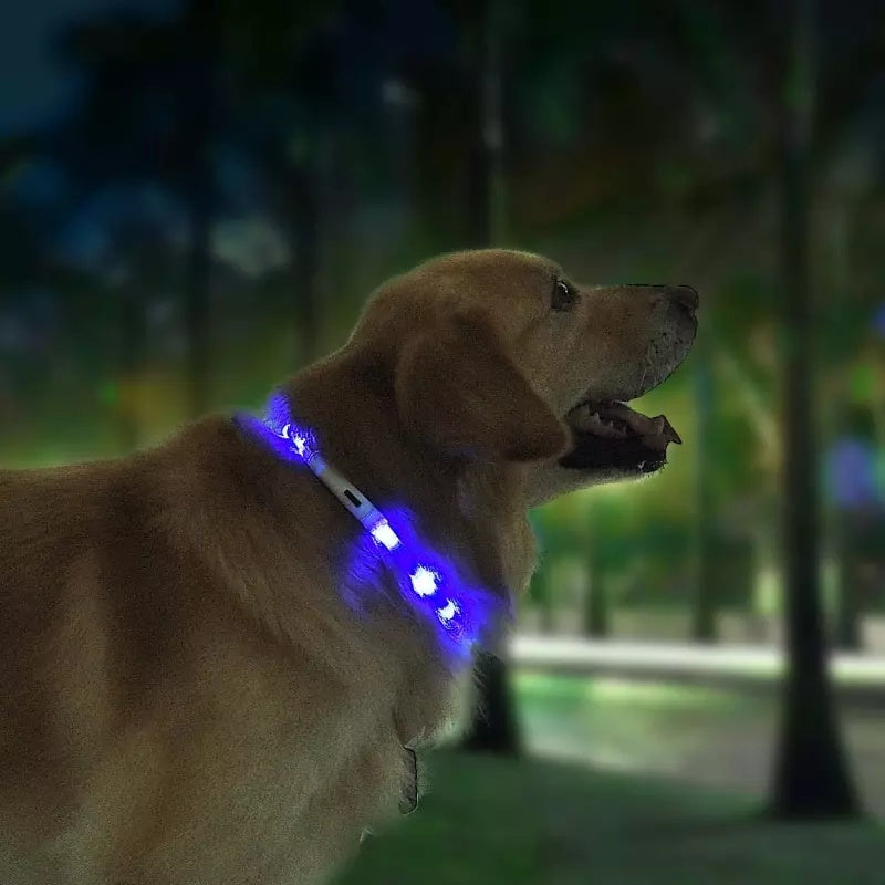 Collar Inteligente LED Antipérdida para Mascotas – Seguridad y Visibilidad durante la Noche 🌟🐾