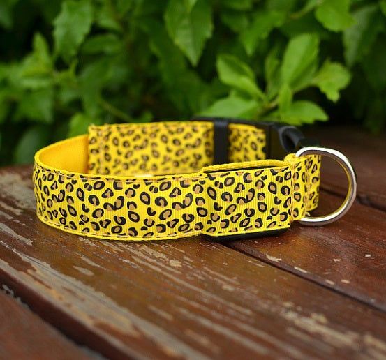 Collar LED de Leopardo para Seguridad Nocturna 🐾🌙