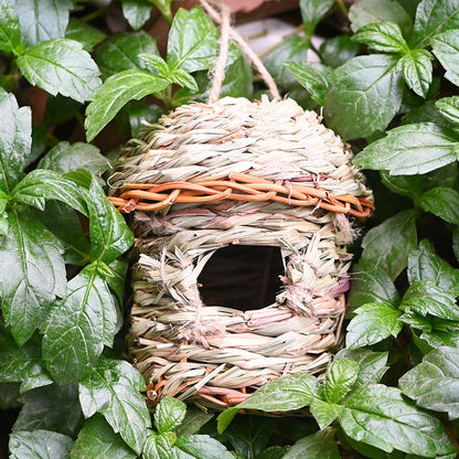 Nido de Paja Creativo para Aves – Un refugio natural y único para tus aves 🐦🍃