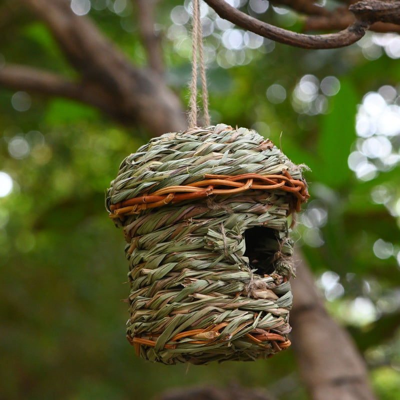 Nido de Paja Creativo para Aves – Un refugio natural y único para tus aves 🐦🍃