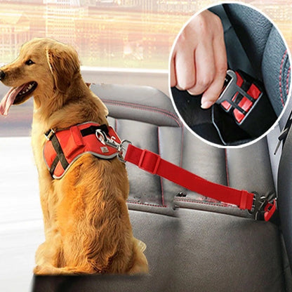 Cinturón de Seguridad para Mascotas en Coche – Seguridad y Comodidad en Cada Viaje 🚗🐾