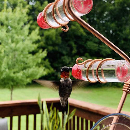 Alimentador y Bebedero para Aves – Dale la bienvenida a la naturaleza en tu jardín 🐦🌿