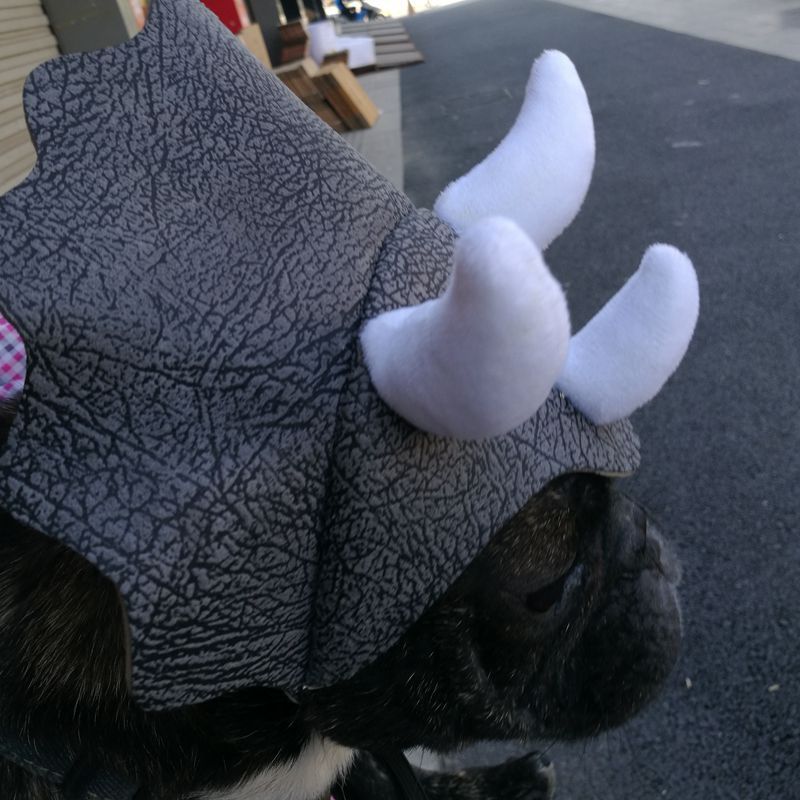 Sombrero Transformable de Dinosaurio Triceratops para Mascotas 🦖🎉