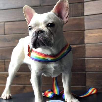 Correa Arcoíris para Perros con Correa Pecho – Estilo y Seguridad en Cada Paseo 🌈🐶