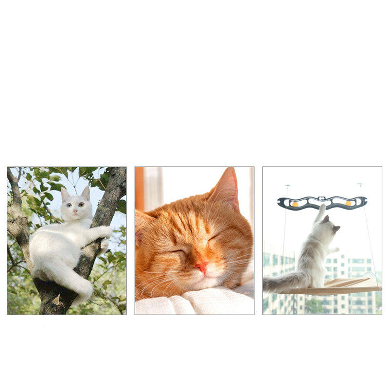 Hamaca de lujo para gatos con ventana: cómodo posadero con ventosas para gatos de interior