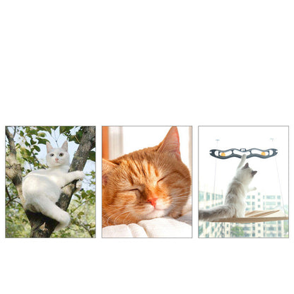 Hamaca de lujo para gatos con ventana: cómodo posadero con ventosas para gatos de interior