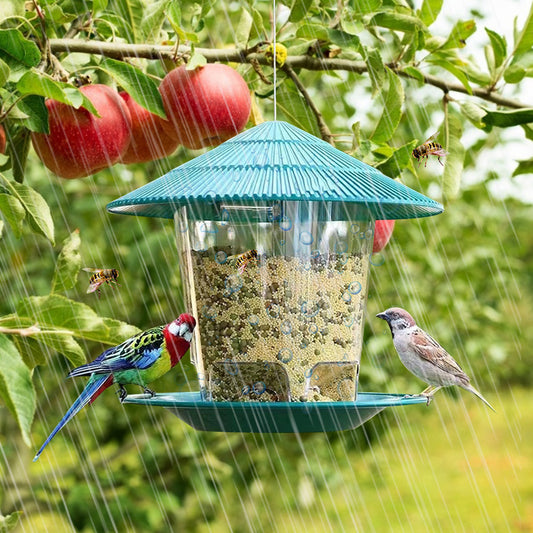 Alimentador Colgante para Aves de Jardín – Atrae color y vida a tu espacio exterior 🐦🌿