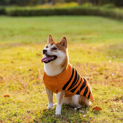 Suéter Teddy para Perros en Halloween Festivo: ¡Diversión y Calidez! 🎃🐾