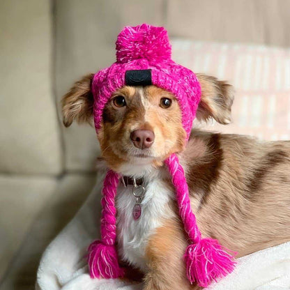 Gorro Luchador para Perros: Cálido y Resistente – Estilo y Protección para el Invierno ❄️🐶