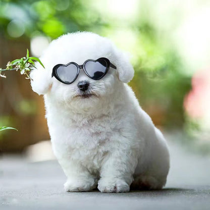 Gafas de Sol de Muñeca para Juguetes 🕶️👗