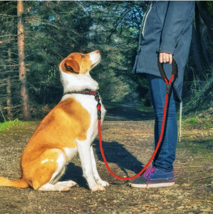 Correa Reflectante de Nylon para Paseos Seguros – Paseos Confortables y Visibles 🌟🐾