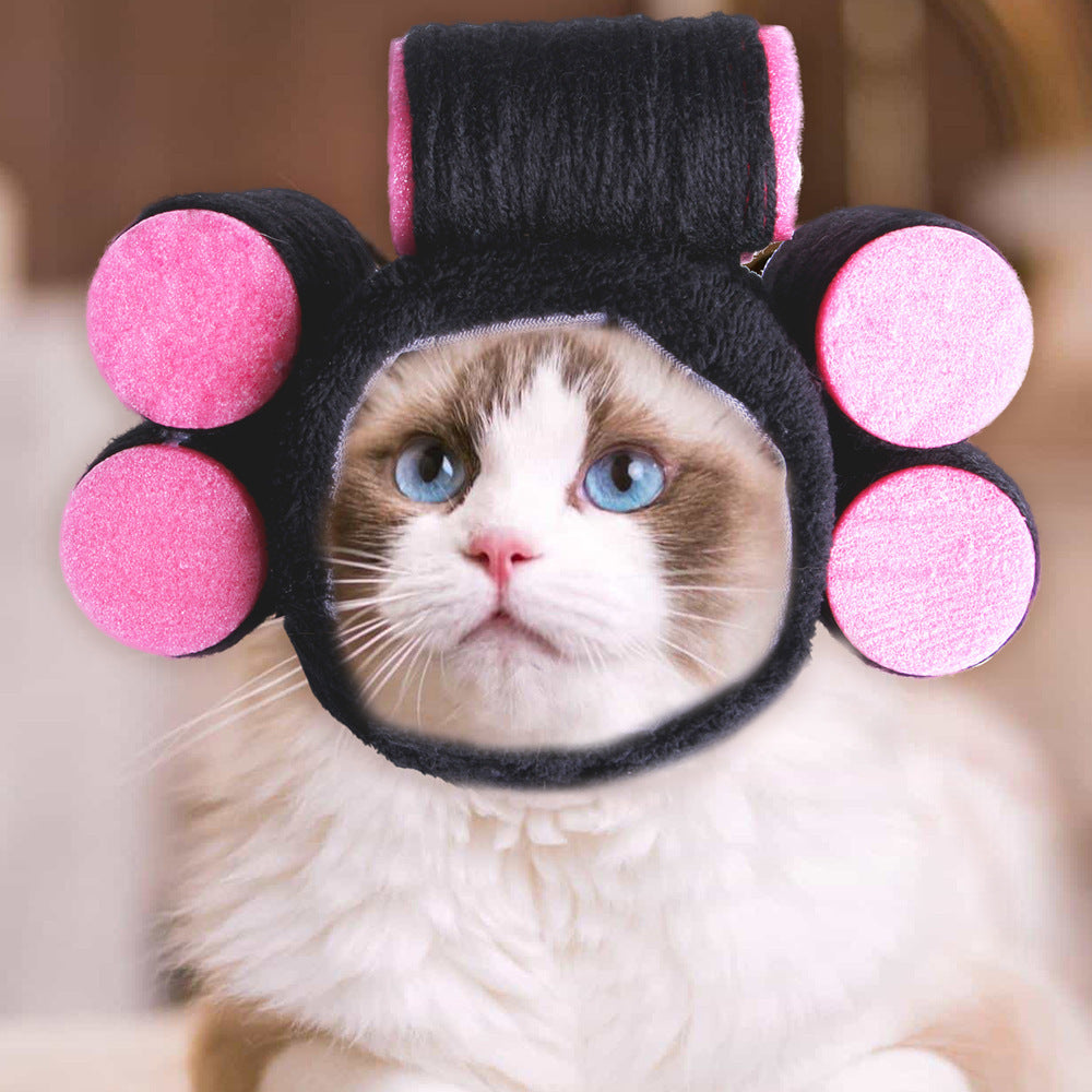 Sombrero para Mascotas con Pelo Rizado - Divertido para Gatos 🐱🎩✨ – ¡Dale a tu gato un look inolvidable!