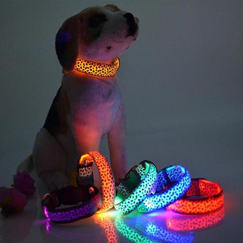 Collar LED de Leopardo para Seguridad Nocturna 🐾🌙