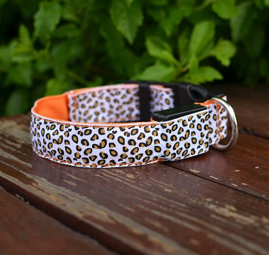 Collar LED de Leopardo para Seguridad Nocturna 🐾🌙