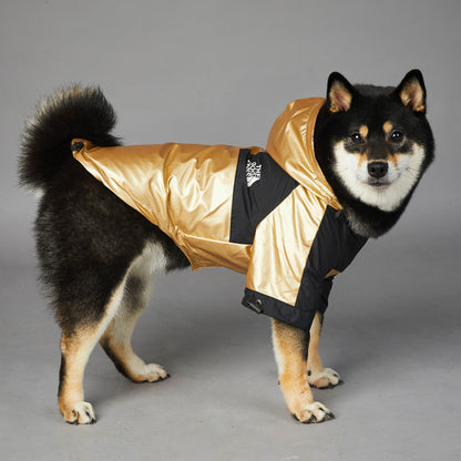 Impermeable para Perros Grandes: Chaqueta Protectora – Protección y Comodidad en Clima Lluvioso 🌧️🐕