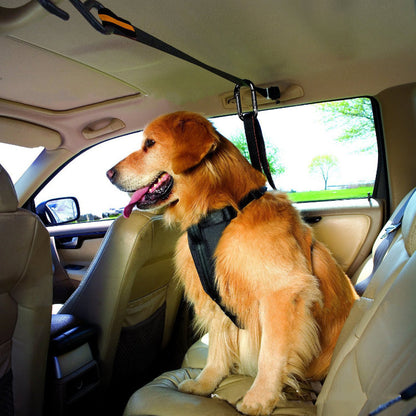 Cinturón de Seguridad para Mascotas - Lanyard de Coche Dual 🐾🚗🔑 – Seguridad y practicidad en un solo accesorio