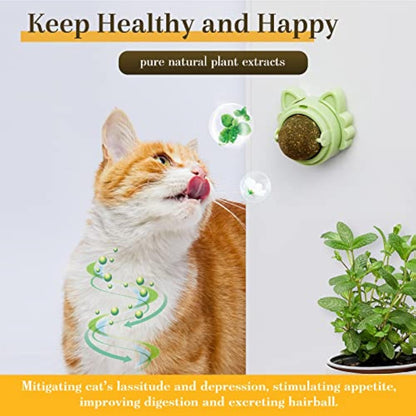 Bolas de Catnip Adhesivas para Gatos – Diversión, salud y bienestar en cada lamida 🐱🌿✨