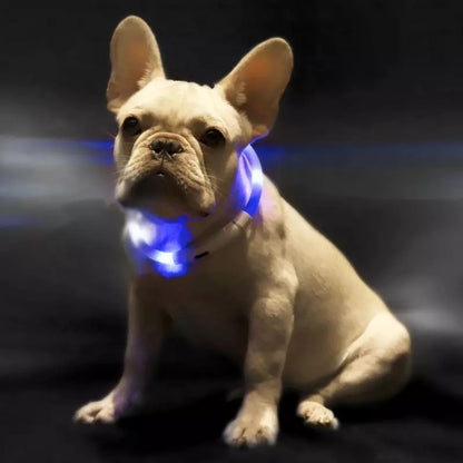 Collar Inteligente LED Antipérdida para Mascotas – Seguridad y Visibilidad durante la Noche 🌟🐾