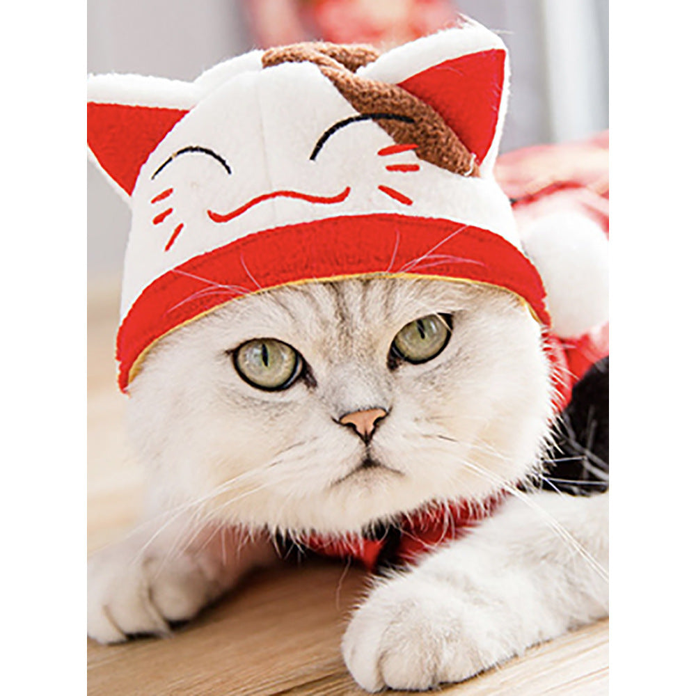 Sombrero para Mascotas con Pelo Rizado - Divertido para Gatos 🐱🎩✨ – ¡Dale a tu gato un look inolvidable!