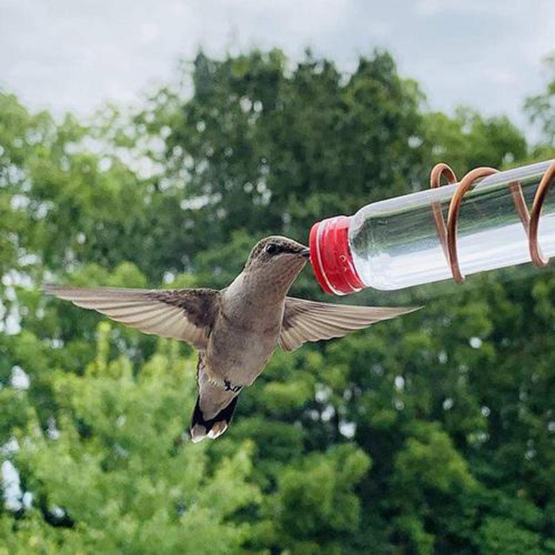 🌿 Alimentador y Bebedero para Aves – Comedero y Fuente de Agua 2 en 1 para Jardín, Terraza y Ventana 🐦🌿