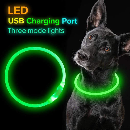 Collar de Seguridad Neón USB Recargable 🌟🐾