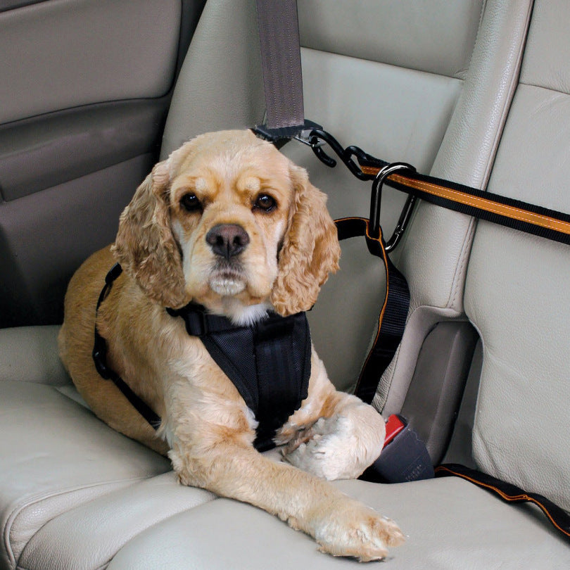 Cinturón de Seguridad para Mascotas - Lanyard de Coche Dual 🐾🚗🔑 – Seguridad y practicidad en un solo accesorio