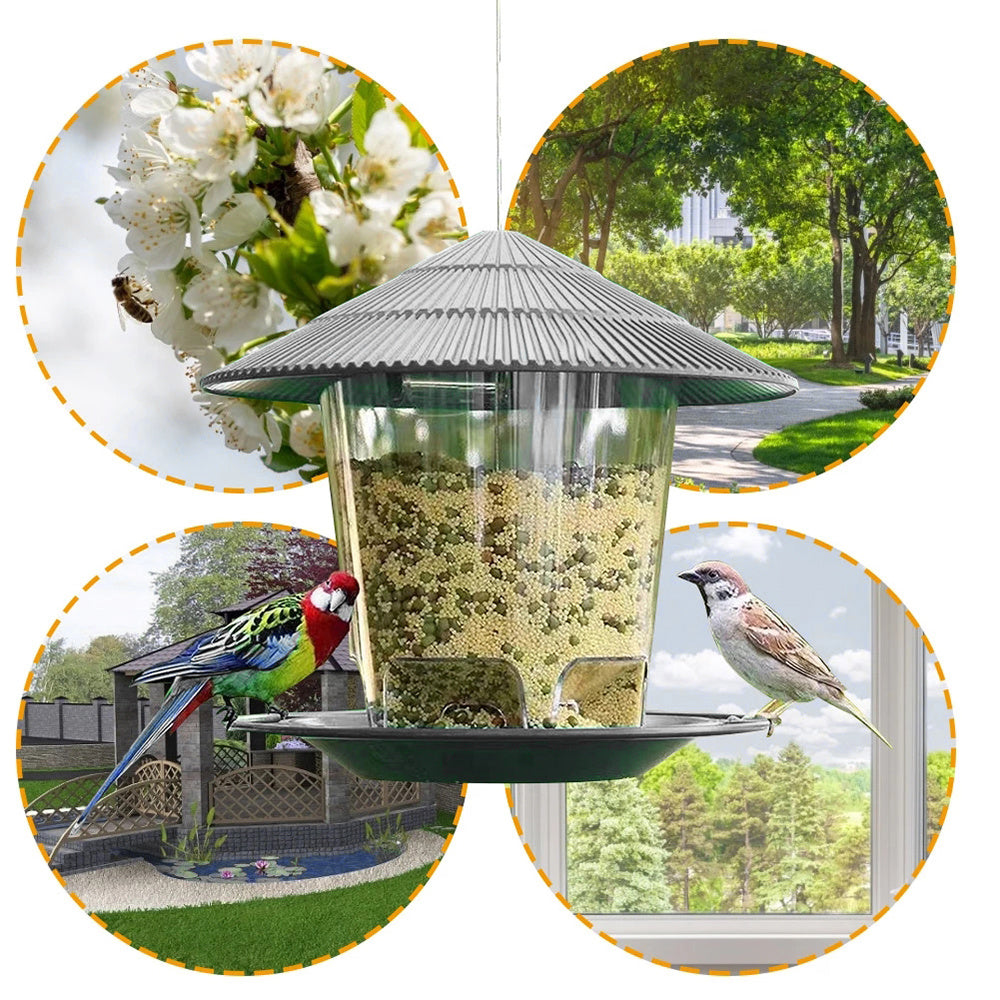 Alimentador Colgante para Aves de Jardín – Atrae color y vida a tu espacio exterior 🐦🌿