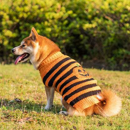 Suéter Teddy para Perros en Halloween Festivo: ¡Diversión y Calidez! 🎃🐾