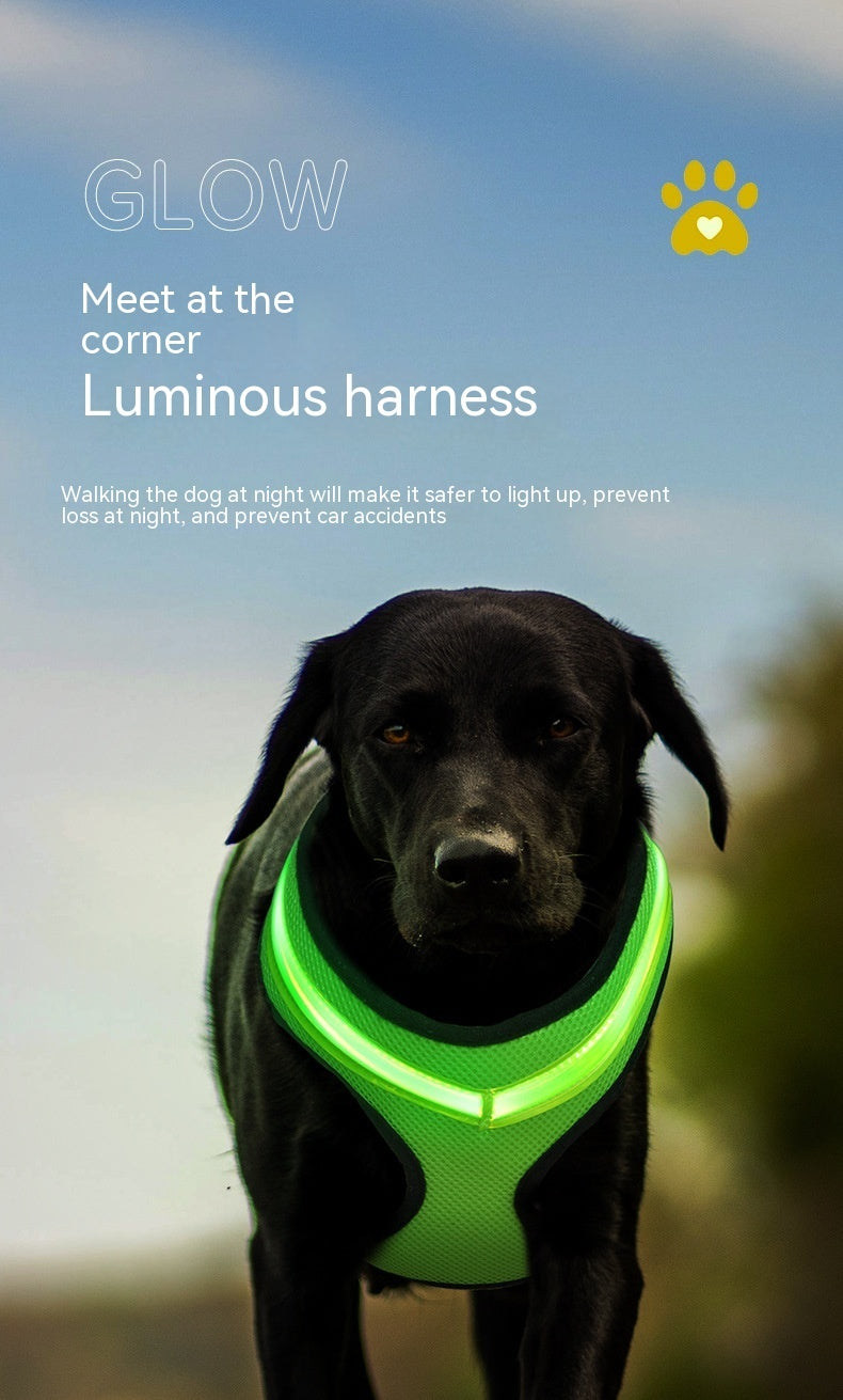 Arnés LED para Perros, Carga USB Segura – Visibilidad y Seguridad en Cada Paseo Nocturno 🐾🌟