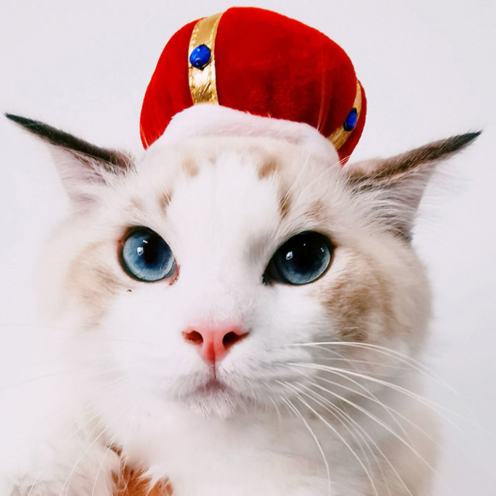 Sombrero para Mascotas con Pelo Rizado - Divertido para Gatos 🐱🎩✨ – ¡Dale a tu gato un look inolvidable!