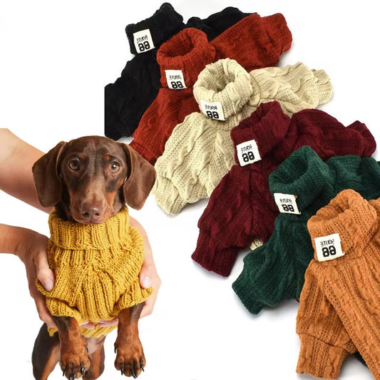 Suéter Turtleneck para Perros: Calor y Ajuste 🧣🐾