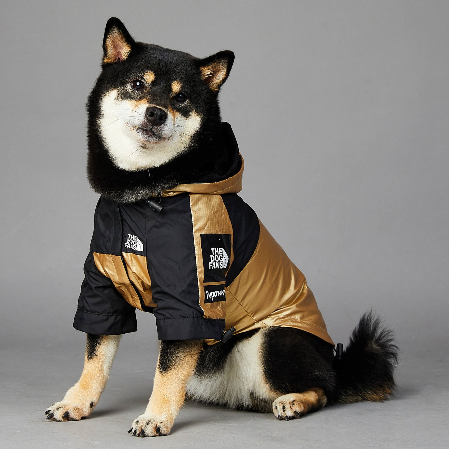 Impermeable para Perros Grandes: Chaqueta Protectora – Protección y Comodidad en Clima Lluvioso 🌧️🐕